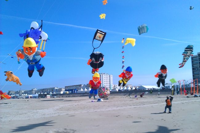 berck201302