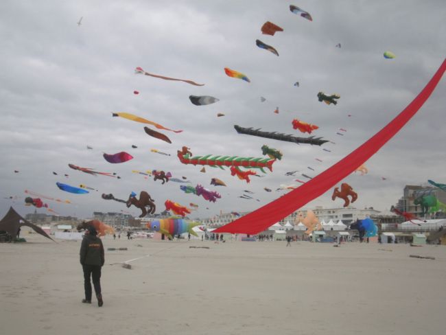 berck201304